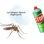 Cara Mengusir Nyamuk dengan Garam