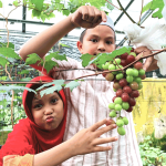 Manfaat Berkebun bagi Lingkungan