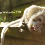 Flying Monkeys dan NPD
