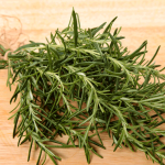 Cara Menanam Rosemary dari Batang