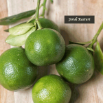 Jeruk Kasturi