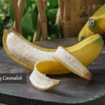 Pisang Cavendish